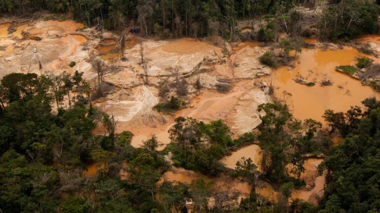 Contaminados al menos 33 ríos de la Amazonía venezolana, Según Clima21