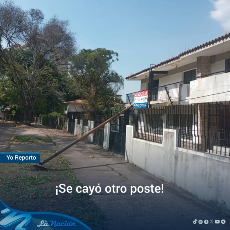 ¡Se cayó otro poste!
