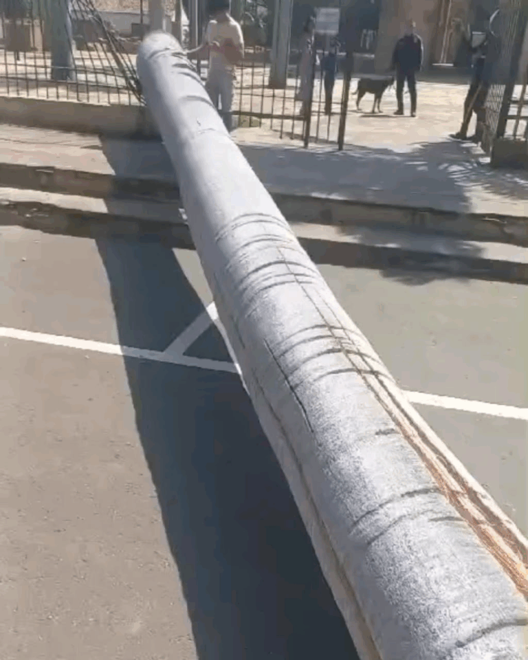 Cae palmera en la autopista que conecta a La Parada con Cúcuta