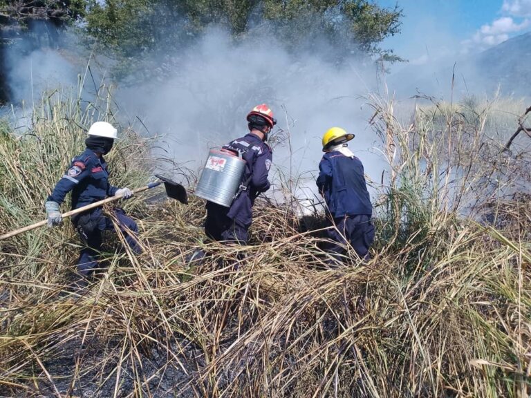 Sofocan incendios provocados en varias zonas de Mérida