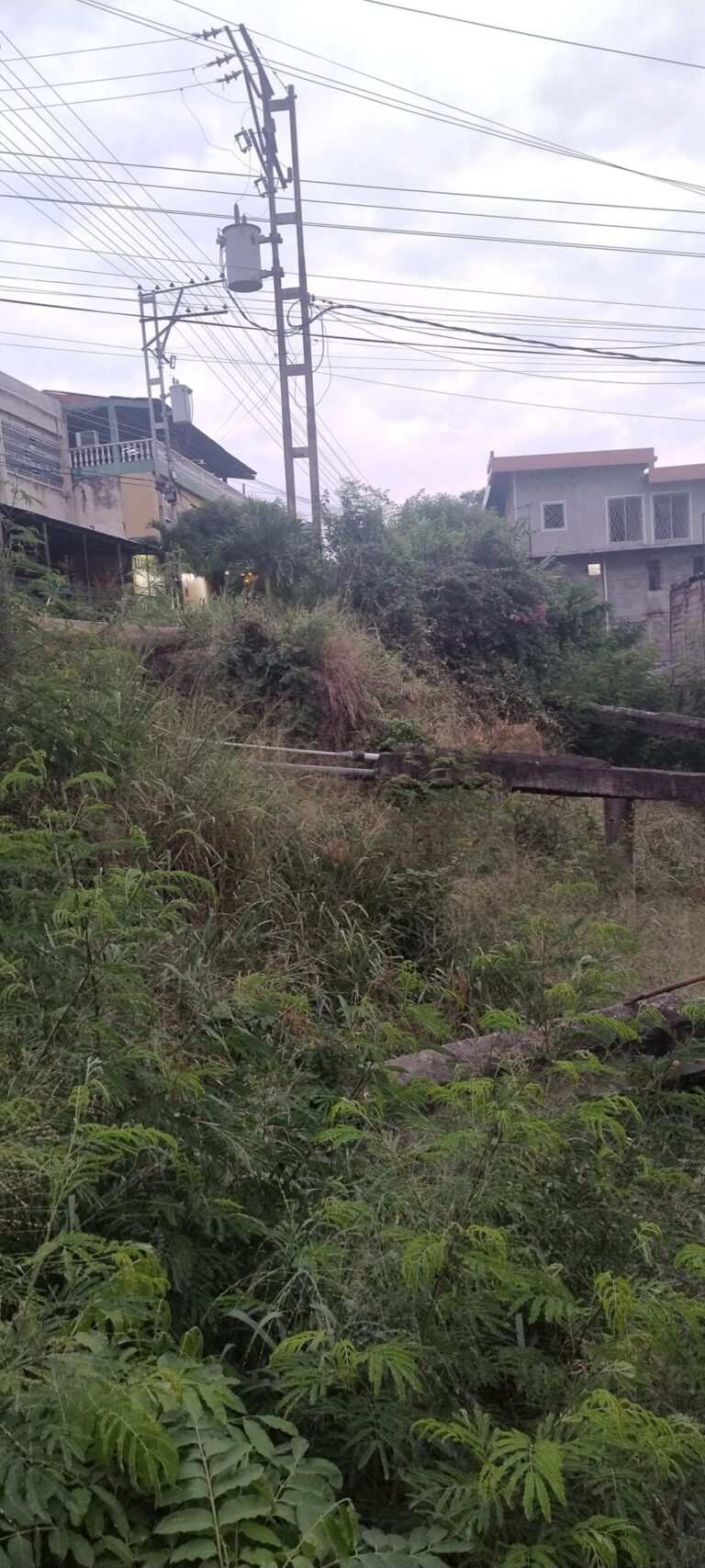 Urge limpieza de La Hedionda tras caída de muro