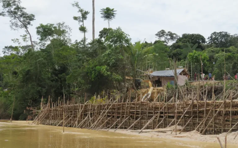 Aumentan casos de malaria en Gran Sabana y también los exportados de Venezuela a Brasil