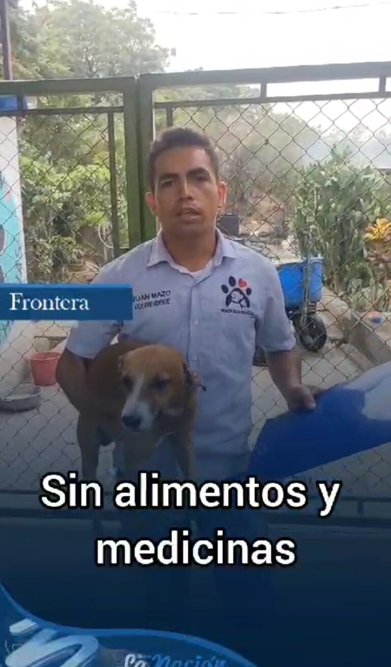Sin alimentos y medicinas en refugio para animales de la frontera
