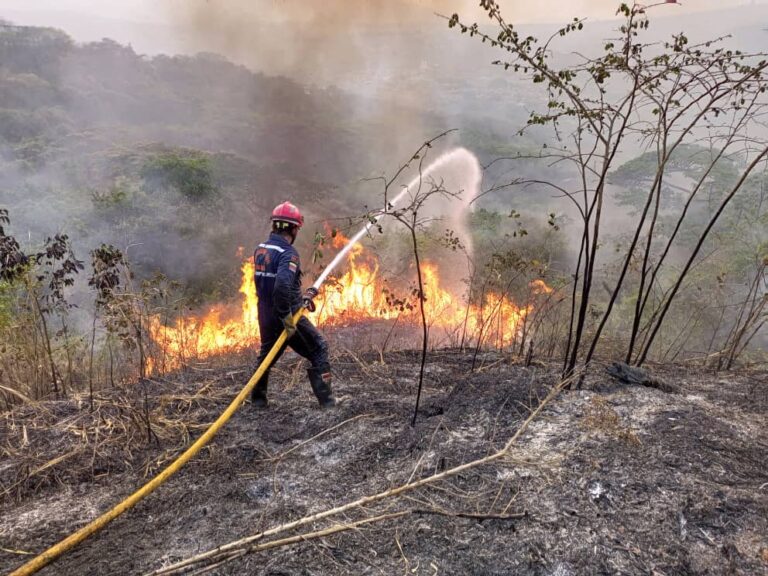 Alarma por el aumento de incendios de vegetación