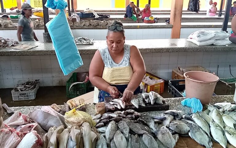 Sucre | Alto precio del pescado en oriente