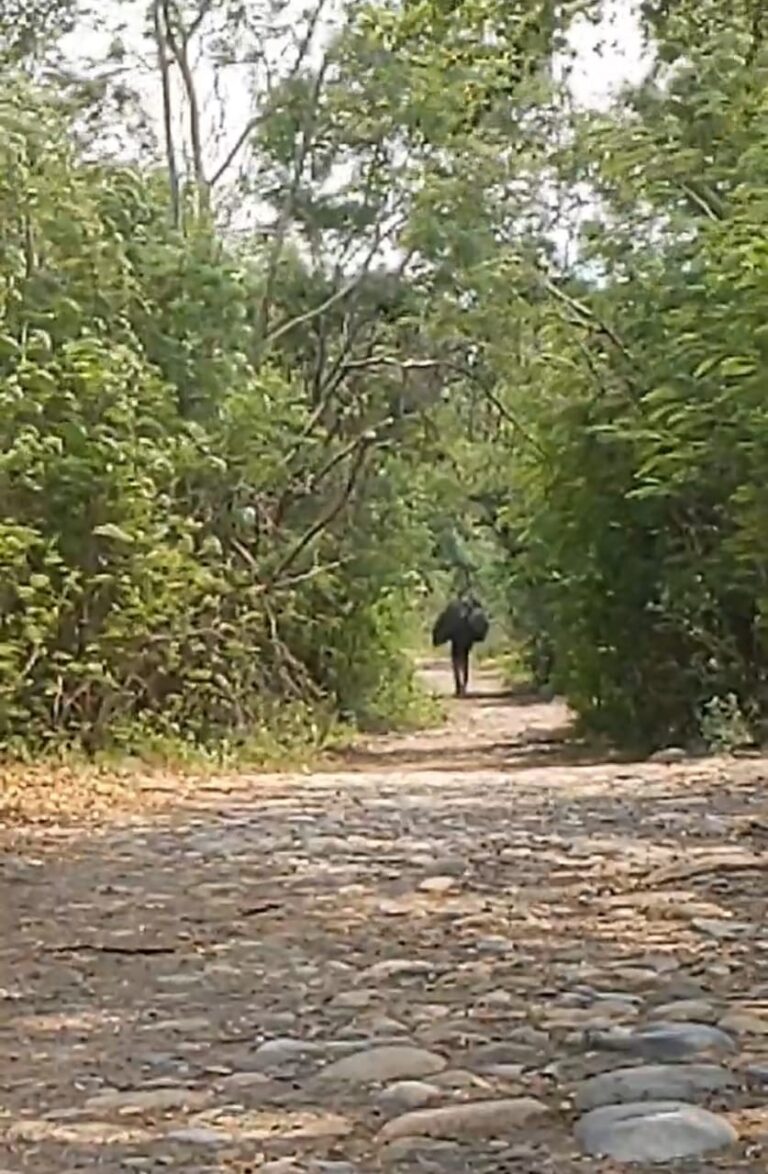 El reciclaje sigue atravesando las trochas