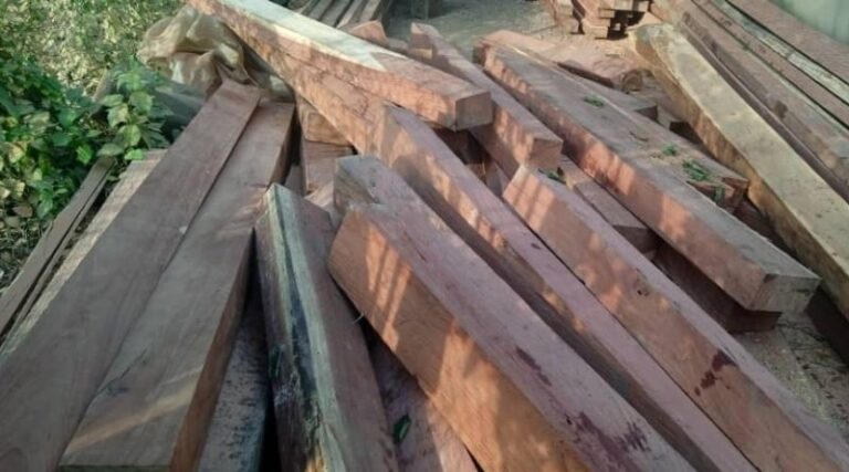 Falcón | Campesinos denuncian que comercializan la madera que les incautan