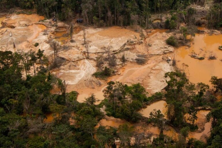 “Al menos 1300 niños trabajando en minas de Bolívar”