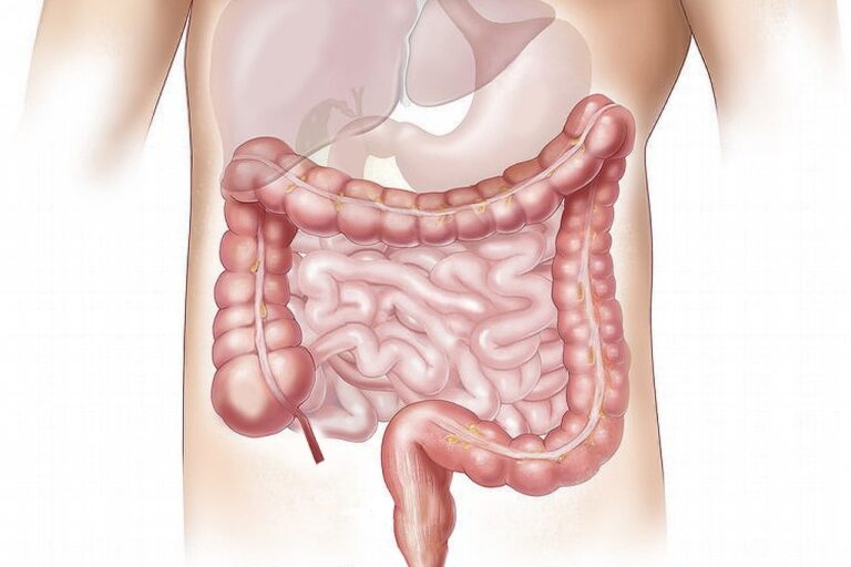 ¿Qué relación existe entre el síndrome de intestino irritable y el sistema cardiovascular?