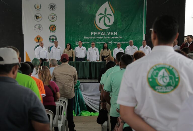 Fepalven: primera organización venezolana del sector primario de la palma aceitera