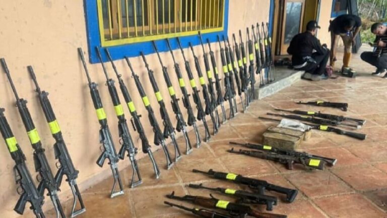 Decomisan 30 armas de fuego en Aragua