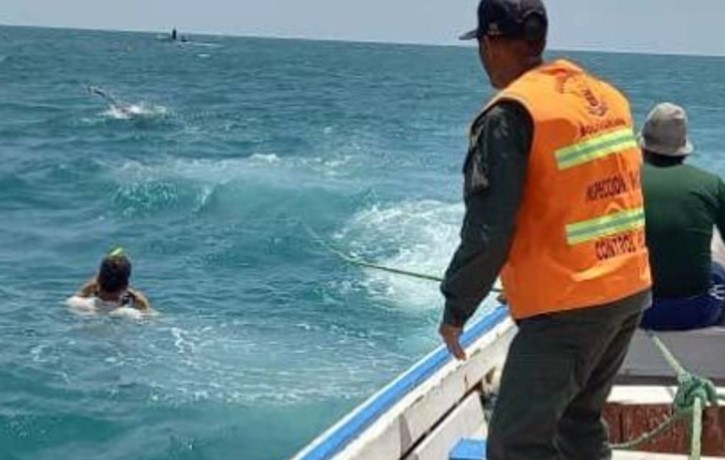 Autoridades buscan a un buzo que desapareció en Margarita: salió a faenar y no regresó