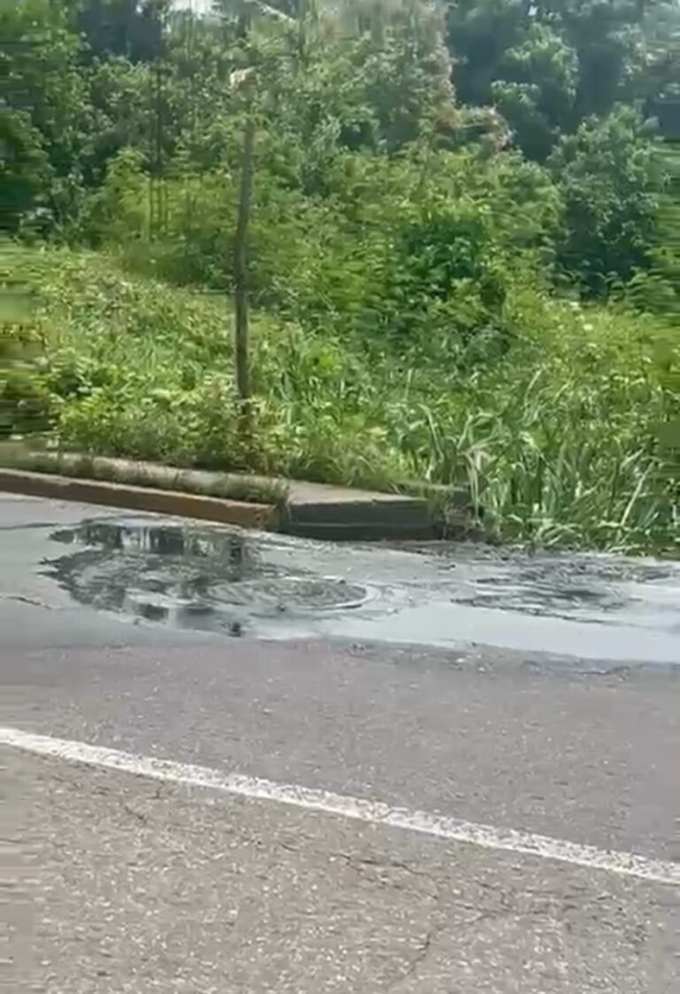 Aguas putrefactas en la vía principal de El Palotal