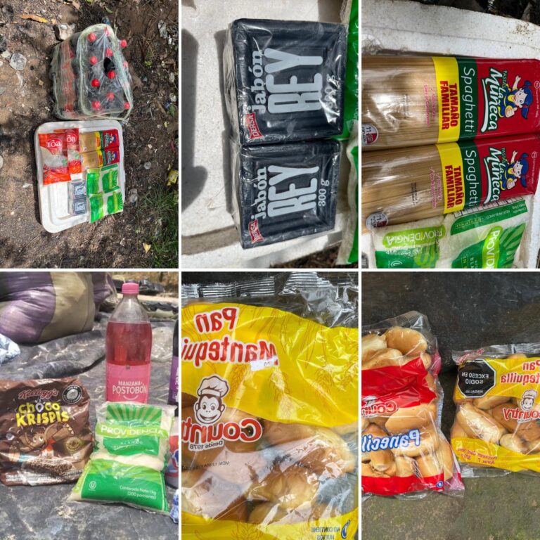 Destruyen más de 2500 kilos de alimentos destinados a “mineros ilegales colombianos”