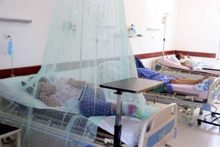 Repuntan casos de dengue en Mérida