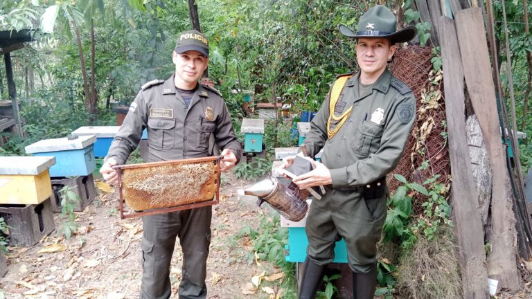 Visitan apiarios en el Día Mundial de las Abejas