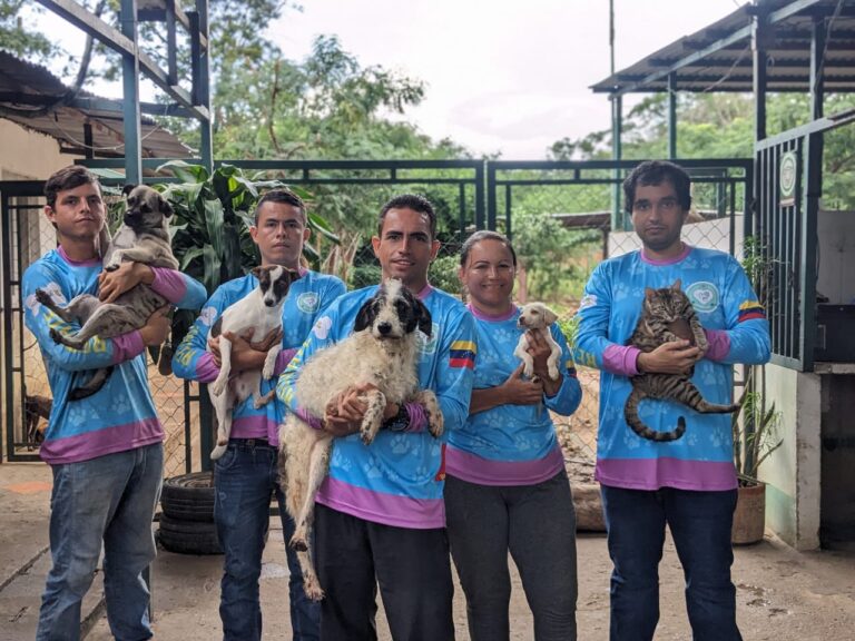 Promueven campaña para esterilizar más de 3 mil perros y gatos de calle en frontera