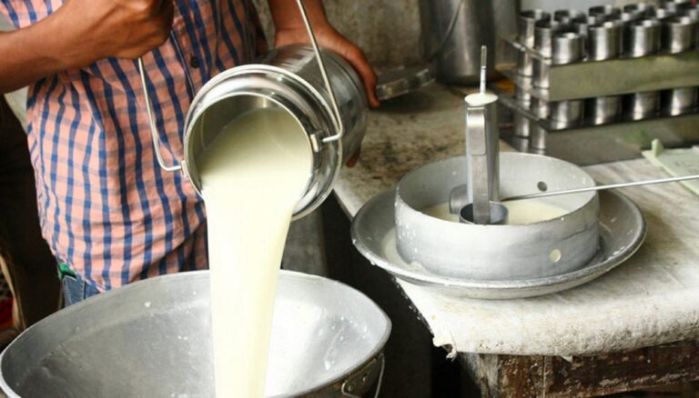 Invasiones atentan contra la producción de leche en Falcón