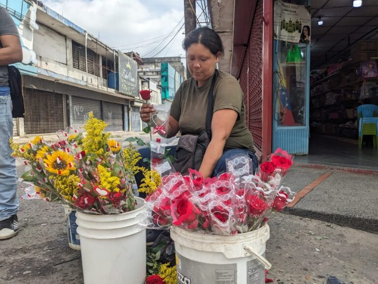 Rosas y girasoles de Chinácota para las madres de frontera