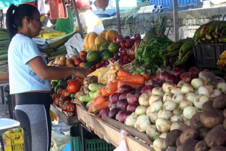 Debemos limpiar los alimentos que llevamos a nuestra casa
