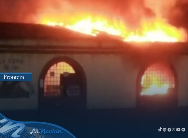 Sofocan incendio en local comercial de San Antonio