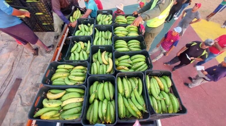 De La Vela de Coro han salido más de 3 mil toneladas de alimentos a Curazao y Aruba