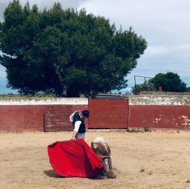 La fina muleta de Antonio Suárez en Feria de la Consolación 2024