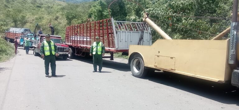Despejada la vía El Vallado – Ureña tras vuelco de gandola