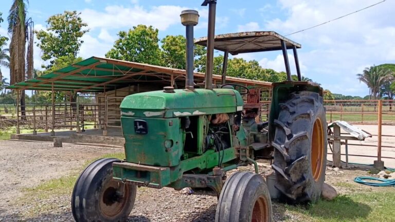 Productores de Portuguesa alertan de dificultades para controlar las plagas