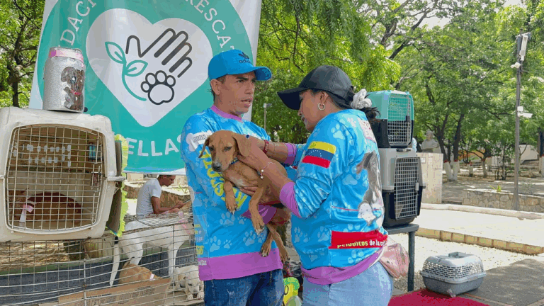 ¡Jornada binacional de adopción de mascotas!