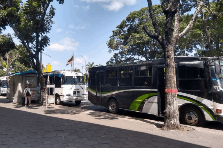 Con relativa normalidad trabaja transporte público en Caracas