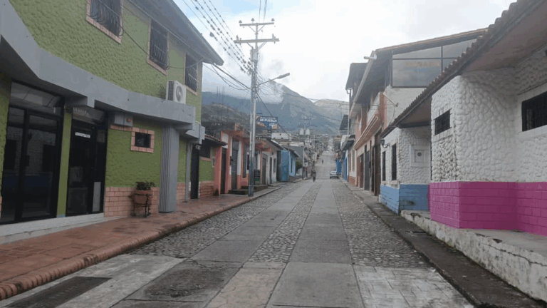 Más de 14 horas sin luz suman en el municipio Francisco de Miranda