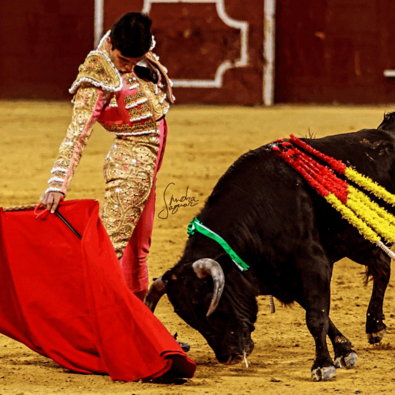 Rando Miguel vuelve al ruedo en Colmenar Viejo