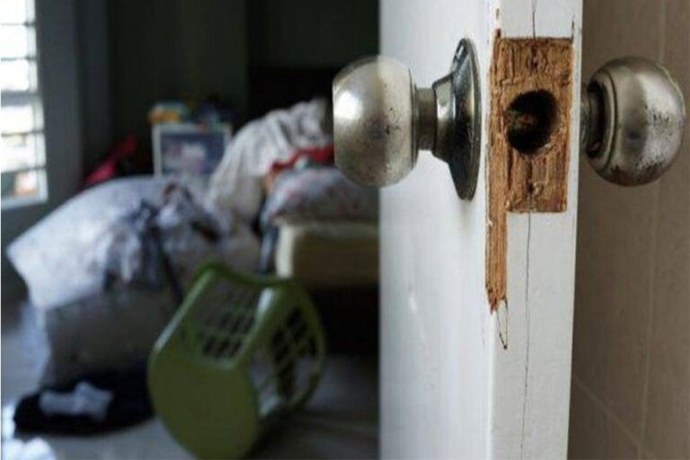 “Escaladores” hurtan en San Cristóbal