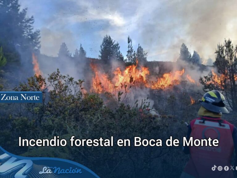 Incendio consume 8 hectáreas de vegetación en Boca de Monte