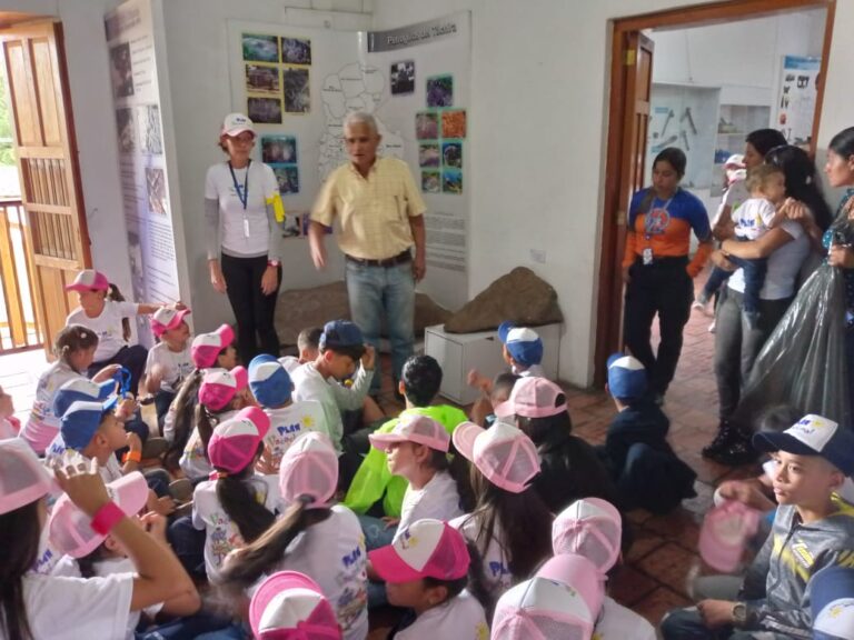 Recorrer el Museo del Táchira en vacaciones