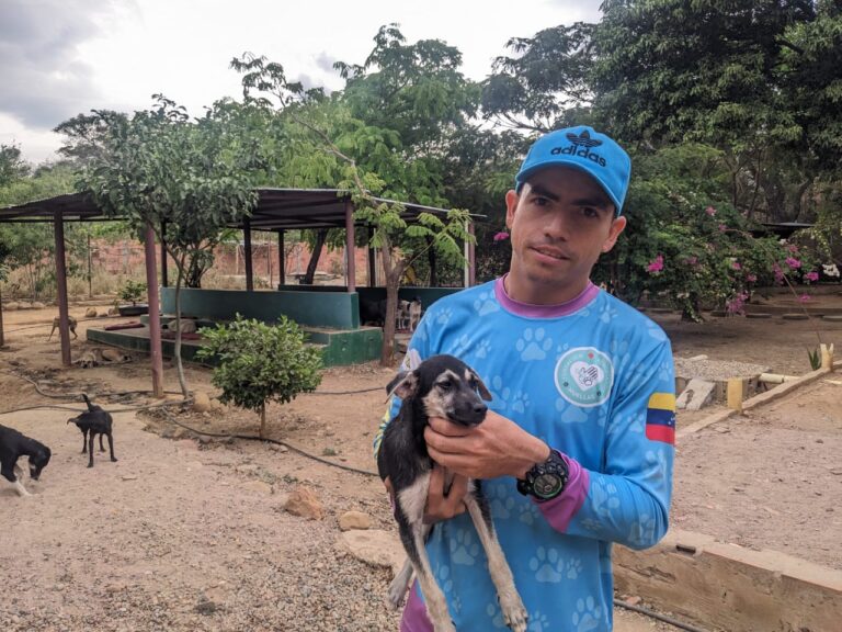 Aroma y otros 119 perros están sin alimento en el refugio de la frontera