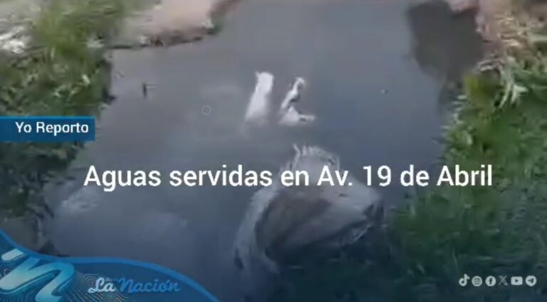 Aguas servidas se desbordan en la avenida 19 de Abril