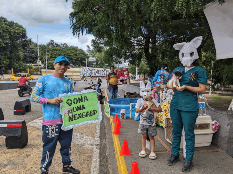 Paso binacional: Escenario que promueve la adopción de mascotas