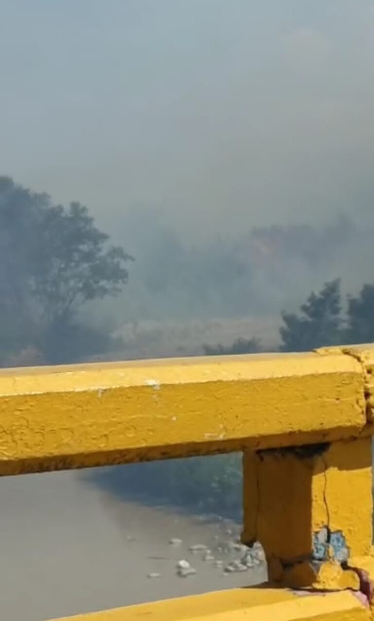 Incendio de vegetación cerca del puente de Ureña