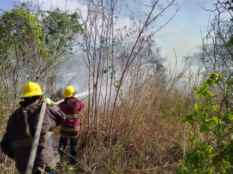 Sofocan dos incendios de vegetación en Ureña