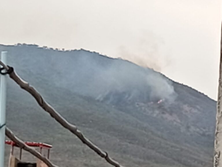 Reportan incendio de vegetación en cerro El Rayo de Ureña