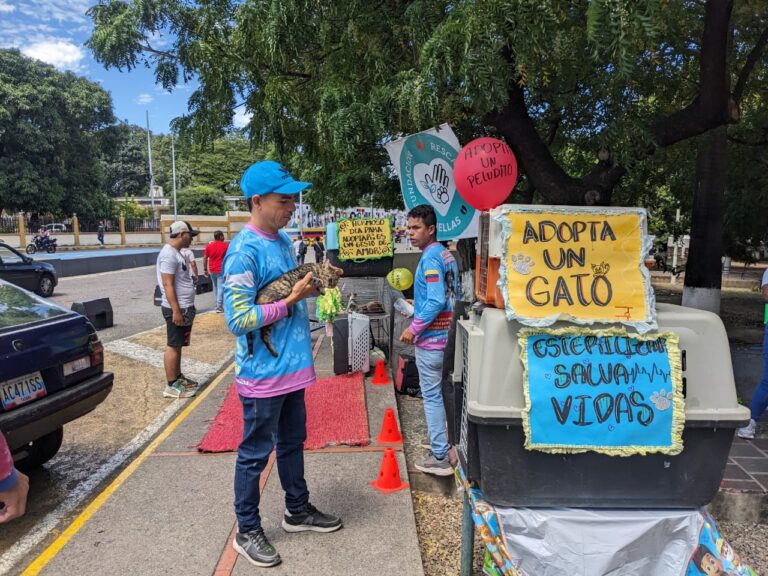 Jornada de adopción de mascotas en pleno paso binacional