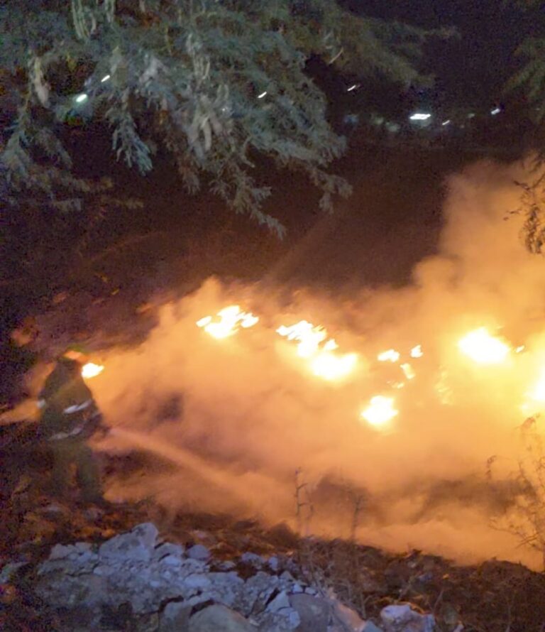 Controlan incendio de desechos y vegetación en San Antonio