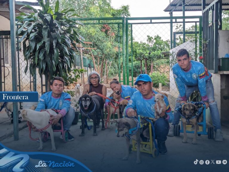 Dan cinco días de plazo para reubicar el refugio de animales en frontera