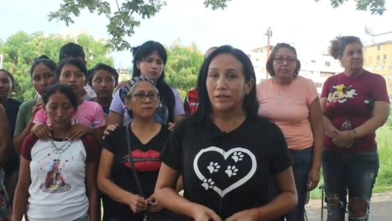 Conmoción en Bolívar por presunto envenenamiento de 15 perros