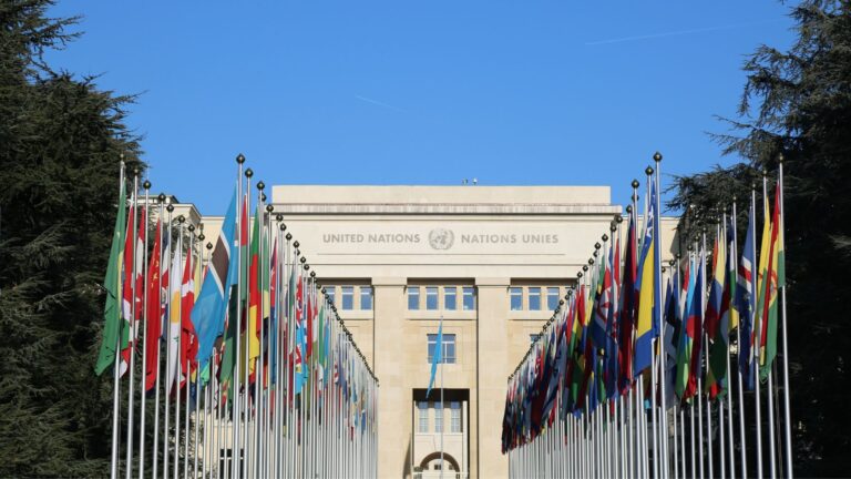 Expertos de la ONU piden al Gobierno respetar derechos a la libertad en posesión presidencial