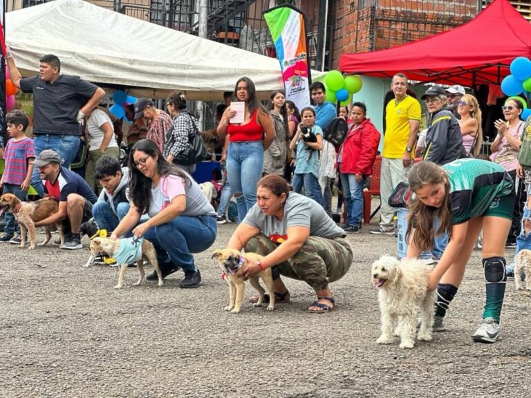 Jornada “Un Día Miau” atendió a unos 300 felinos y caninos