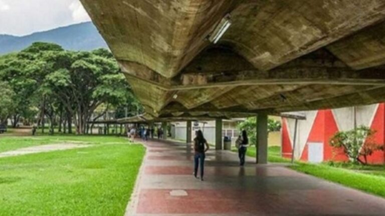 OBU: Solo 17 % de los jóvenes entre 18 y 24 años acceden a la educación superior