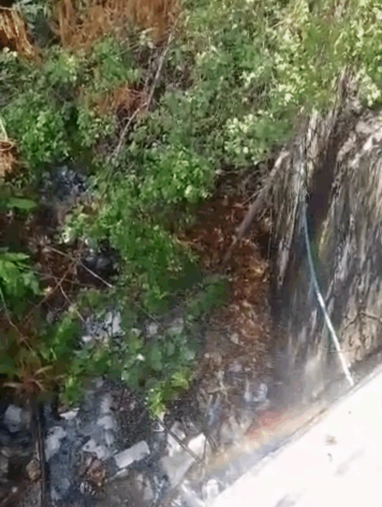 Piden que se solvente bote de aguas blancas en Ureña